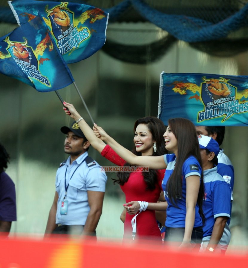 Ccl 3 Kerala Strikers Vs Karnataka Bulldozers Photos 3927