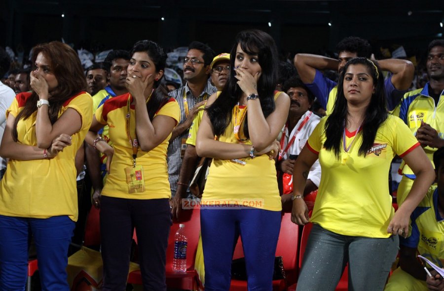 Ccl 4 Kerala Strikers Vs Chennai Rhinos Match 5475