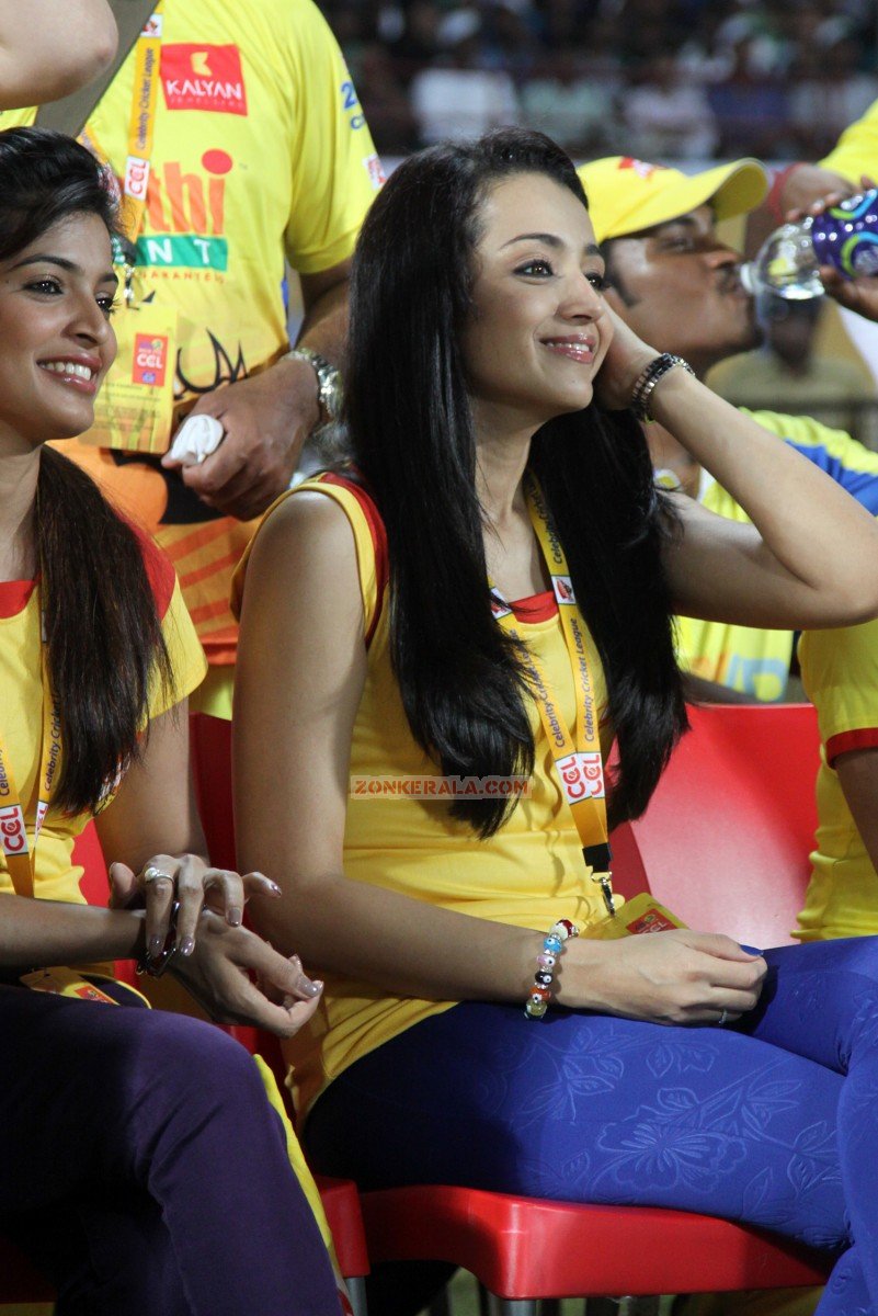 Ccl 4 Kerala Strikers Vs Chennai Rhinos Match Stills 8480