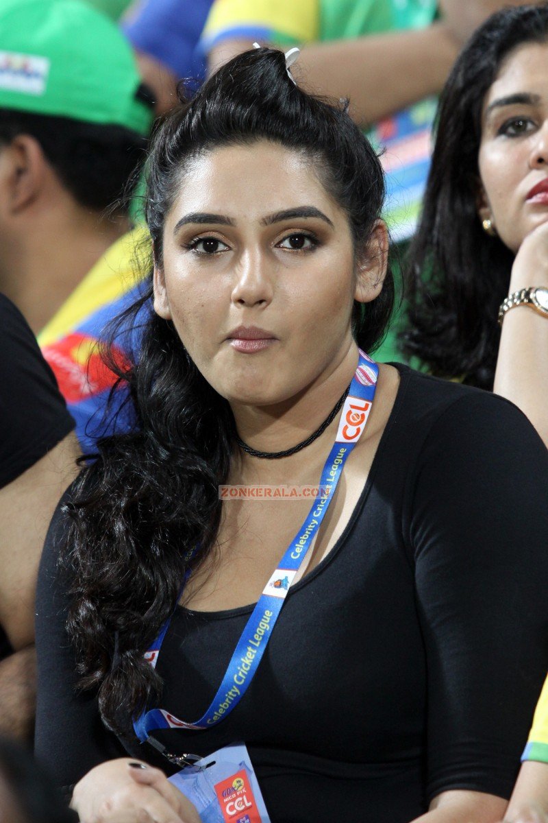 Ragini Dwivedi At Ccl 4 Photo 549