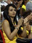 Trisha Ccl4 Kerala Strikers Vs Chennai Rhinos Match 81