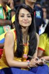 Trisha Krishnan At Ccl 4 604