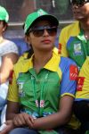 Ccl 4 Kerala Strikers Vs Telugu Warriors Match 5339