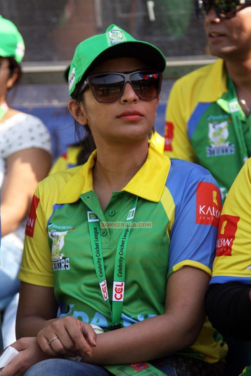 Ccl 4 Kerala Strikers Vs Telugu Warriors Match 5339