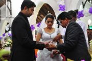 Dhanya Mary Varghese Marriage 8016