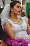 Dhanya Mary Varghese Marriage 9742