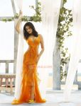 Mamta Mohandas G Venkatram Calendar 2012 615