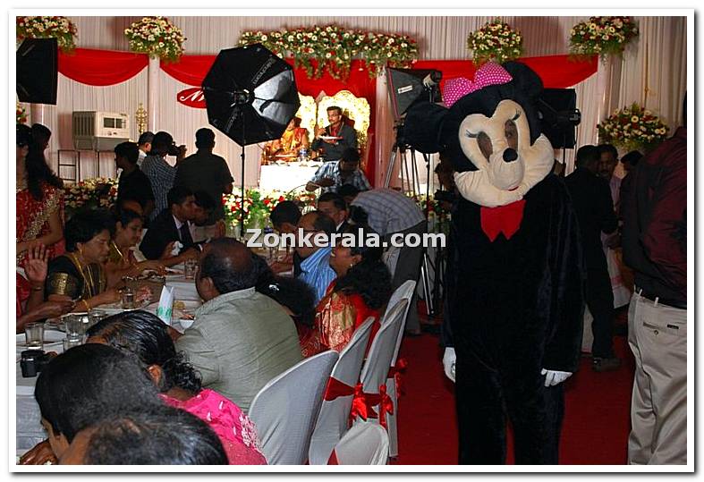 Karthika Wedding Pictures 2