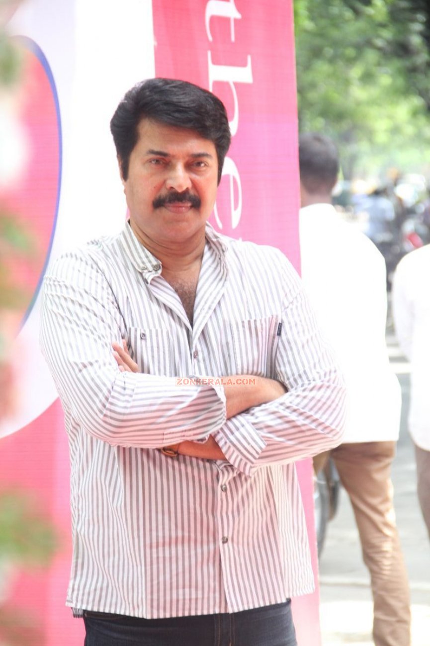 Mammootty At Motherhood Chennai 3451