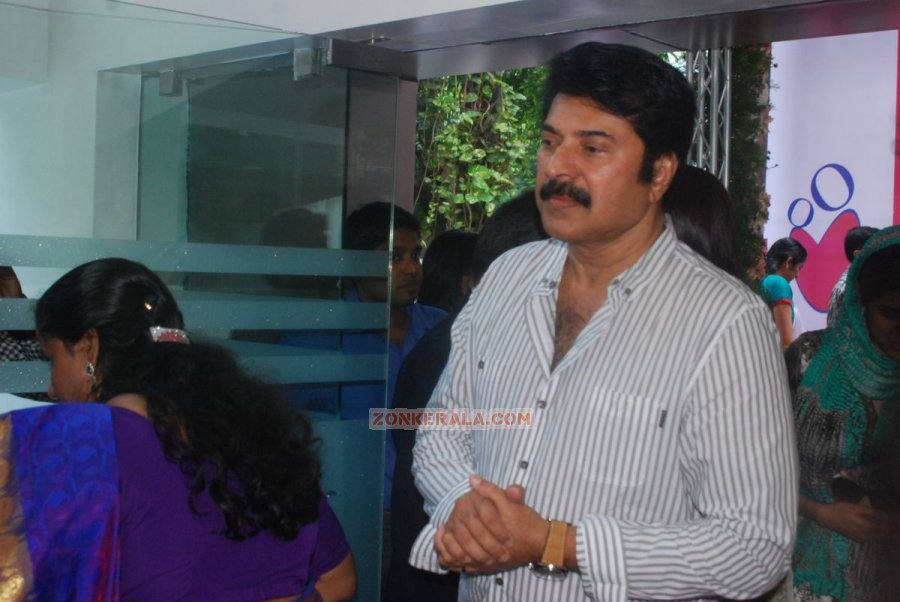 Mammootty At Motherhood Chennai 9217