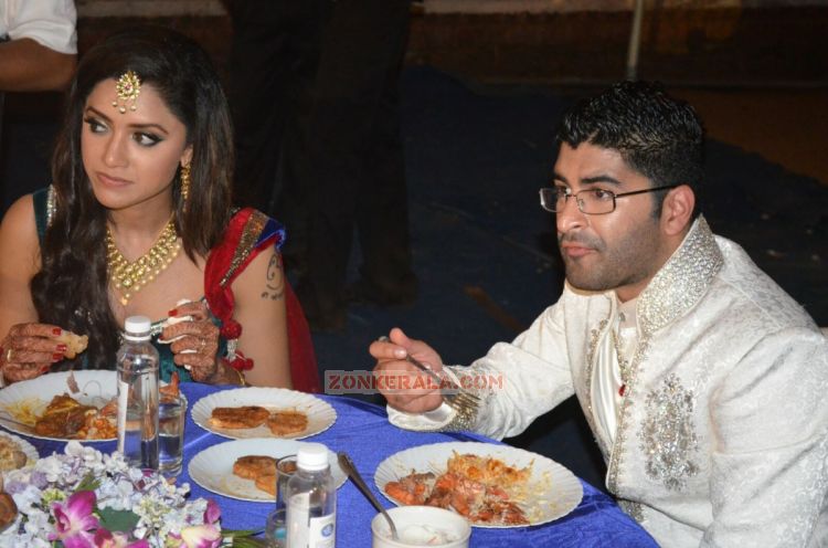 Mamta Mohandas Wedding Reception 8939