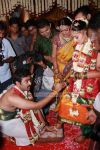 Prasanna Sneha Wedding Stills 2985