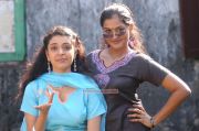 Malayalam Actress Remya Nambeesan And Radhika 3297