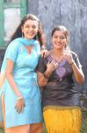 Malayalam Actress Remya Nambeesan And Radhika Photos 5813