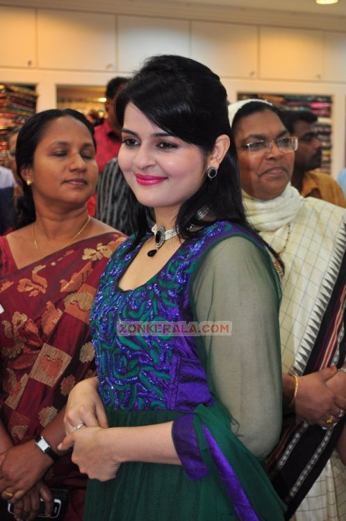 Roma Asrani At Rk Sarees Punalur Showroom Inauguration 7921