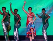 Deeksha Seth At Siima Awards 735