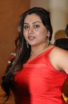 Namitha At Siima Awards 432