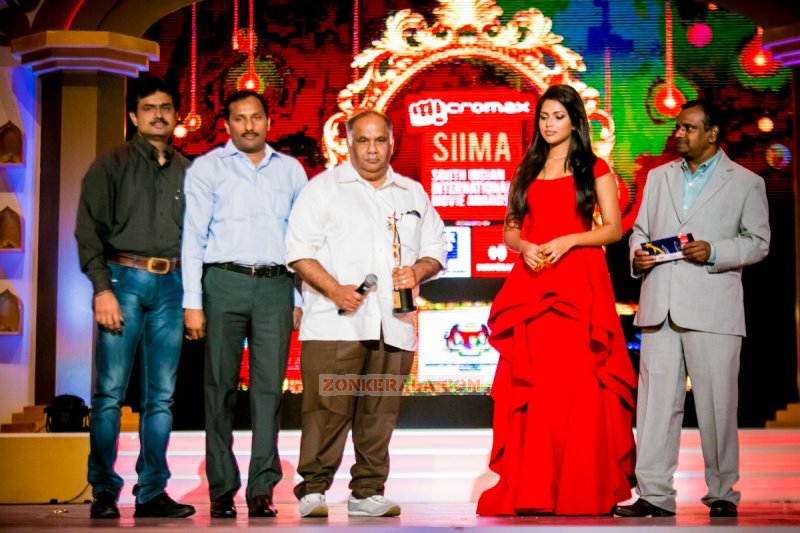 Amala Paul Siima Awards 2014 598