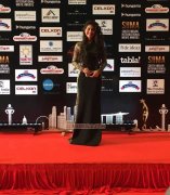 Malayalam Function Siima Awards 2016 New Stills 1371