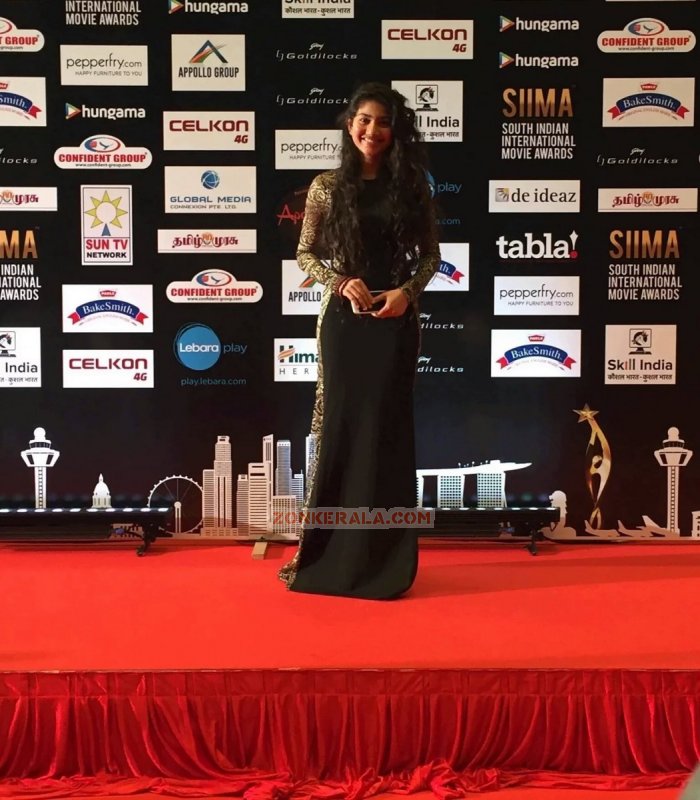 Malayalam Movie Event Siima Awards 2016 Latest Photos 315