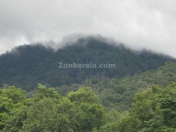 Athirappally Vazhachal Forest
