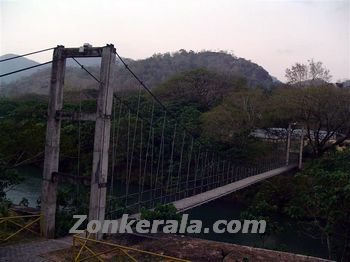 Thenmala Hanging Bridge