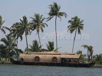 Coconut Trees and House Boats