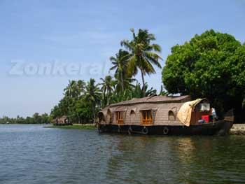 House Boat near Coconut Trees