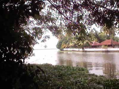 Vembanad Lake at Kumarakom