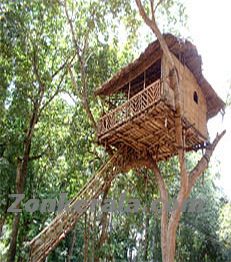 Thenmala tree top hut